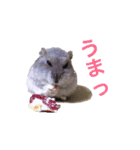 無気力なぺん（個別スタンプ：12）