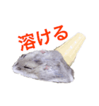 無気力なぺん（個別スタンプ：13）