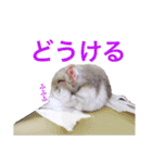 無気力なぺん（個別スタンプ：14）
