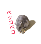 無気力なぺん（個別スタンプ：16）