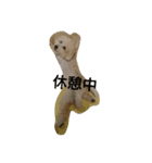 みきぷう（個別スタンプ：5）