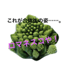 ブロッコリーの祭典！（個別スタンプ：7）