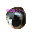 ライオンラビットのぺろちゃん（個別スタンプ：2）