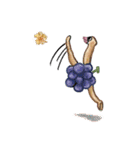 Fruit Kingdom（個別スタンプ：12）
