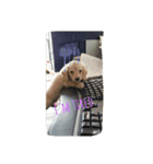 私は犬が好き！（個別スタンプ：3）