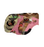 私は犬が好き！（個別スタンプ：16）