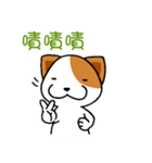 Latte and Cappuccino1（個別スタンプ：8）