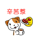Latte and Cappuccino1（個別スタンプ：16）