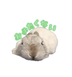 うさぎの優たん2（個別スタンプ：4）