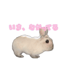 うさぎの優たん2（個別スタンプ：11）