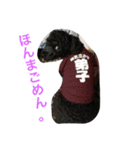 テンテンの言葉（個別スタンプ：4）