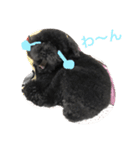テンテンの言葉（個別スタンプ：5）