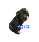 テンテンの言葉（個別スタンプ：8）