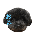 テンテンの言葉（個別スタンプ：9）