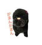 テンテンの言葉（個別スタンプ：13）