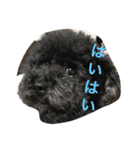 テンテンの言葉（個別スタンプ：14）
