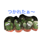 植物スタンプ2（個別スタンプ：3）