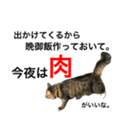 我ニャはおいち！+α 家庭的スタンプ（個別スタンプ：15）