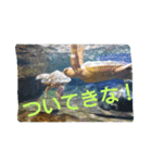 ちょいと使える水の仲間たち（個別スタンプ：3）