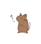らくがきデグー（個別スタンプ：5）