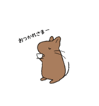 らくがきデグー（個別スタンプ：8）