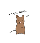 らくがきデグー（個別スタンプ：14）