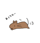 らくがきデグー（個別スタンプ：20）