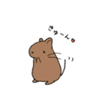 らくがきデグー（個別スタンプ：23）