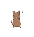 らくがきデグー（個別スタンプ：28）