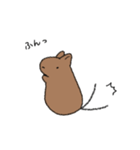 らくがきデグー（個別スタンプ：31）