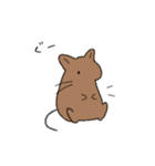 らくがきデグー（個別スタンプ：33）