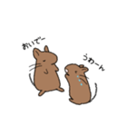 らくがきデグー（個別スタンプ：36）