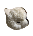 モフモフアルパカ（個別スタンプ：2）