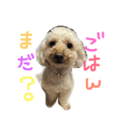 もこもこ✴︎たいむ①（個別スタンプ：1）