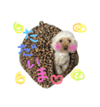 もこもこ✴︎たいむ①（個別スタンプ：2）