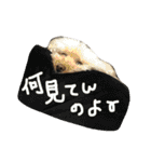 もこもこ✴︎たいむ①（個別スタンプ：4）
