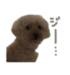 もこもこ✴︎たいむ①（個別スタンプ：7）