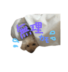 もこもこ✴︎たいむ①（個別スタンプ：12）