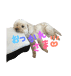 もこもこ✴︎たいむ①（個別スタンプ：16）