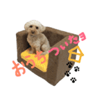 もこもこ✴︎たいむ①（個別スタンプ：22）
