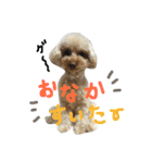 もこもこ✴︎たいむ①（個別スタンプ：24）