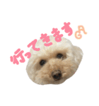もこもこ✴︎たいむ①（個別スタンプ：30）