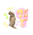もこもこ✴︎たいむ①（個別スタンプ：31）