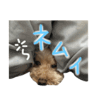 もこもこ✴︎たいむ①（個別スタンプ：34）