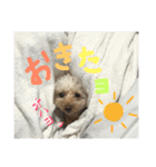 もこもこ✴︎たいむ①（個別スタンプ：35）