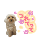 もこもこ✴︎たいむ①（個別スタンプ：36）