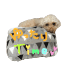 もこもこ✴︎たいむ①（個別スタンプ：38）