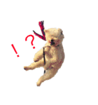 ザッピー（個別スタンプ：2）