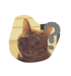 しあわせとねこ（個別スタンプ：1）