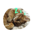 しあわせとねこ（個別スタンプ：2）